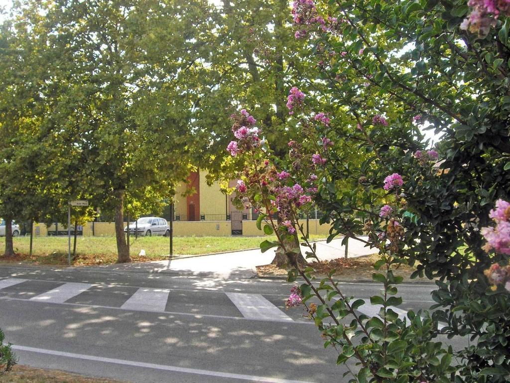 Residence Mediterraneo Lido delle Nazioni Værelse billede